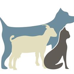 Horario de apertura Clínica Veterinaria La Plaza, Ingenio