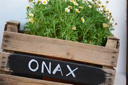 Horario de apertura Onax, Santa Eulària des Riu