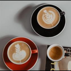 Horario de apertura El Café de Axel, Benidorm
