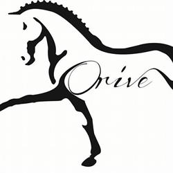 Horario de apertura Centro Ecuestre Orive, Aranguren