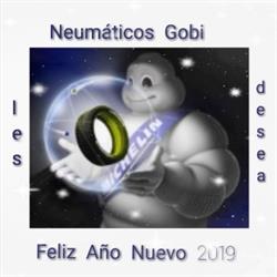 Horario de apertura Rafael Carmelo Neumáticos Gobi, Lillo