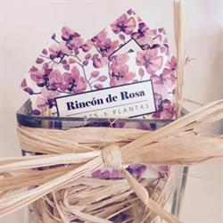 Horario de apertura El Rincón de Rosa, Temple