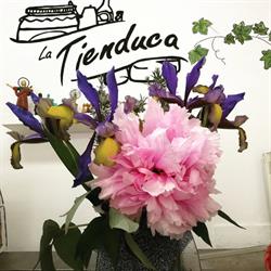 Horario de apertura La Tienduca de Tanos, Torrelavega