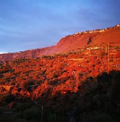 Horario de apertura Finca El Rincon, La Orotava