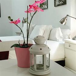 Horario de apertura Santa María 12 Apartamentos Boutique Cádiz,
