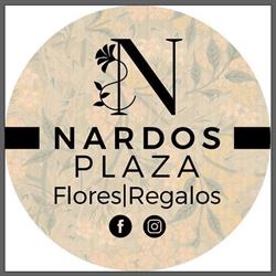 Horario de apertura Floristería Los Nardos, Pola de Laviana