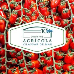 Horario de apertura Agrícola de Vilassar de Mar S.C.C.L., 