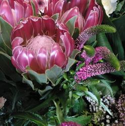 Horario de apertura Floristería Esenzia Betanzos,