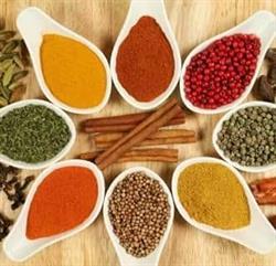 Horario de apertura Masala Indian, L'Estartit