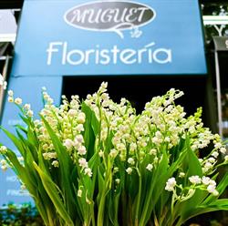 Floristeria Muguet en Madrid (Retiro) - Horario de apertura