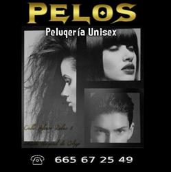 Horario de apertura Pelos Peluqueria, Hospital de Órbigo