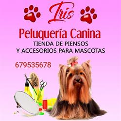 Horario de apertura Iris, Daganzo de Arriba
