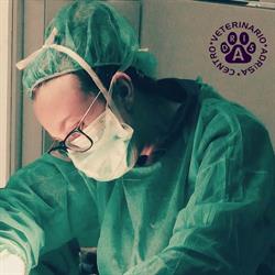 Horario de apertura Centro Veterinario ADRISA (SERVICIO DE URGENCIAS DERIVADO AL HOSPITAL VETERINARIO IMAVET), Cee