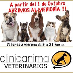 Horario de apertura CLÍNICANIMAL VETERINARIOS, Molina de Segura