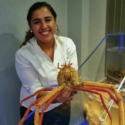 Horario de apertura Restaurante Airiños, O Grove