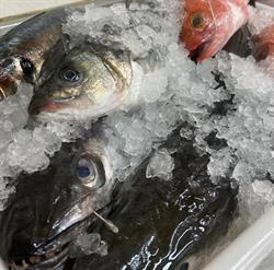 Horario de apertura Parrillada Seoane, Carballos