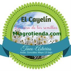 Horario de apertura EL CAYELÍN DE TINEO, Tineo