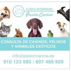 Horario de apertura Clinica Veterinaria Pasión Canina, Pinto
