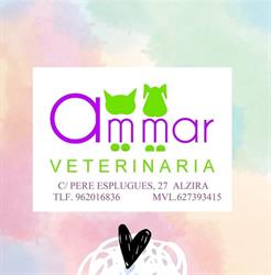 Horario de apertura Clínica Veterinaria Ammar, Alzira