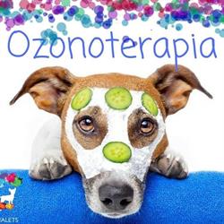 Horario de apertura Veterinaria Animalets, Alzira