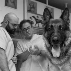 Horario de apertura Clínica Veterinaria Astorga, 