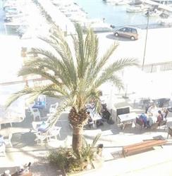 Horario de apertura La Mar, Les Cases d'Alcanar