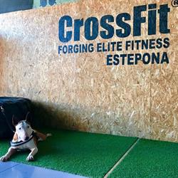 Horario de apertura CrossFit Estepona, 