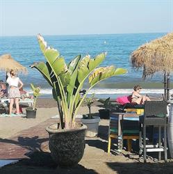 Horario de apertura Andalusian Experience, Cómpeta