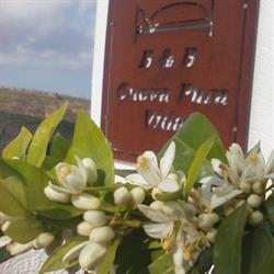 Horario de apertura B&B Cueva Pura Vida, Pulpite
