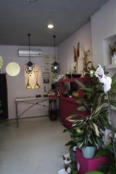 Horario de apertura FLORISTERIA EL BRESSOL DE LA FLOR, Silla