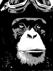 Horario de apertura Monkey, Betxí