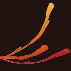 Restaurante Saffron - Mediterranean Food en Madrid (Chamartín) - Horario de apertura