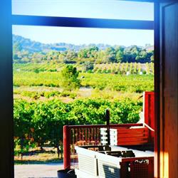 Horario de apertura Bodega Finca Fuentegalana, Navahondilla