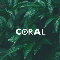 Horario de apertura Coral Peluqueria, Perillo
