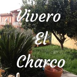 Horario de apertura Vivero el Charco, Puerto del Rosario