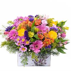 Horario de apertura Floristería La Mar De Flores, Daganzo de Arriba