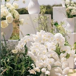 Horario de apertura Loving The Flowers Garden, Les Fonts