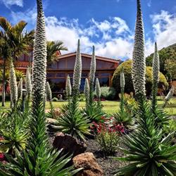 Horario de apertura Biogarden tenerife, Tegueste
