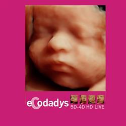 Horario de apertura Ecodadys 5D-4D Ciudad Real, 