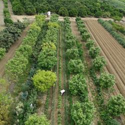Horario de apertura Frutería Hnos. Díaz, Punta Umbría