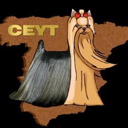 Club Español del Yorkshire Terrier en Madrid (Salamanca) - Horario de apertura