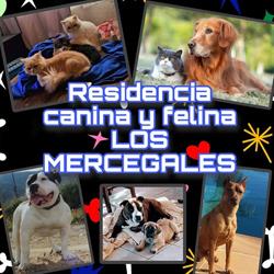 Horario de apertura RESIDENCIA CANINA Y FELINA LOS MERCEGALES, Mijas