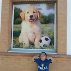 Horario de apertura Semillas, Piensos Y Mascotas "Titi"- Peluquería Canina " Mimos"., Castilleja de la Cuesta
