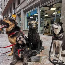 Horario de apertura Corner Dogs, Navalcarnero