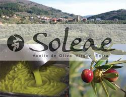 Horario de apertura Soleae. Aceite de Oliva Virgen Extra, Herguijuela de la Sierra