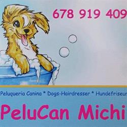 Horario de apertura PeluCan Michi, Costa de la Calma