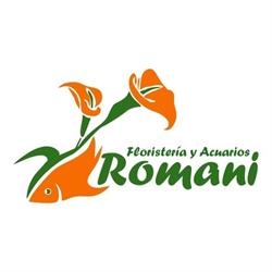 Horario de apertura FLORISTERIA ROMANI, San Juan del Puerto