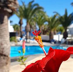 Horario de apertura Los Amigos, Costa Teguise