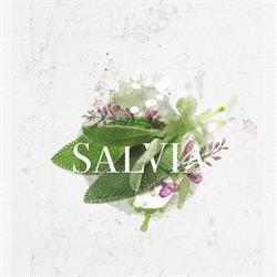 Horario de apertura Salvia, Eivissa
