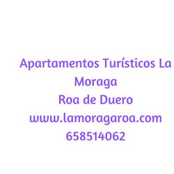 Horario de apertura Casa Rural La Moraga, Roa